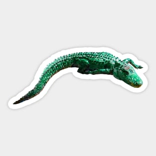 Alligator Florida Wildlife Animal Sticker